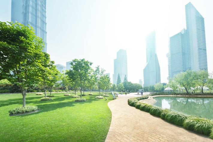 city-park-zoning-laws-concept3D