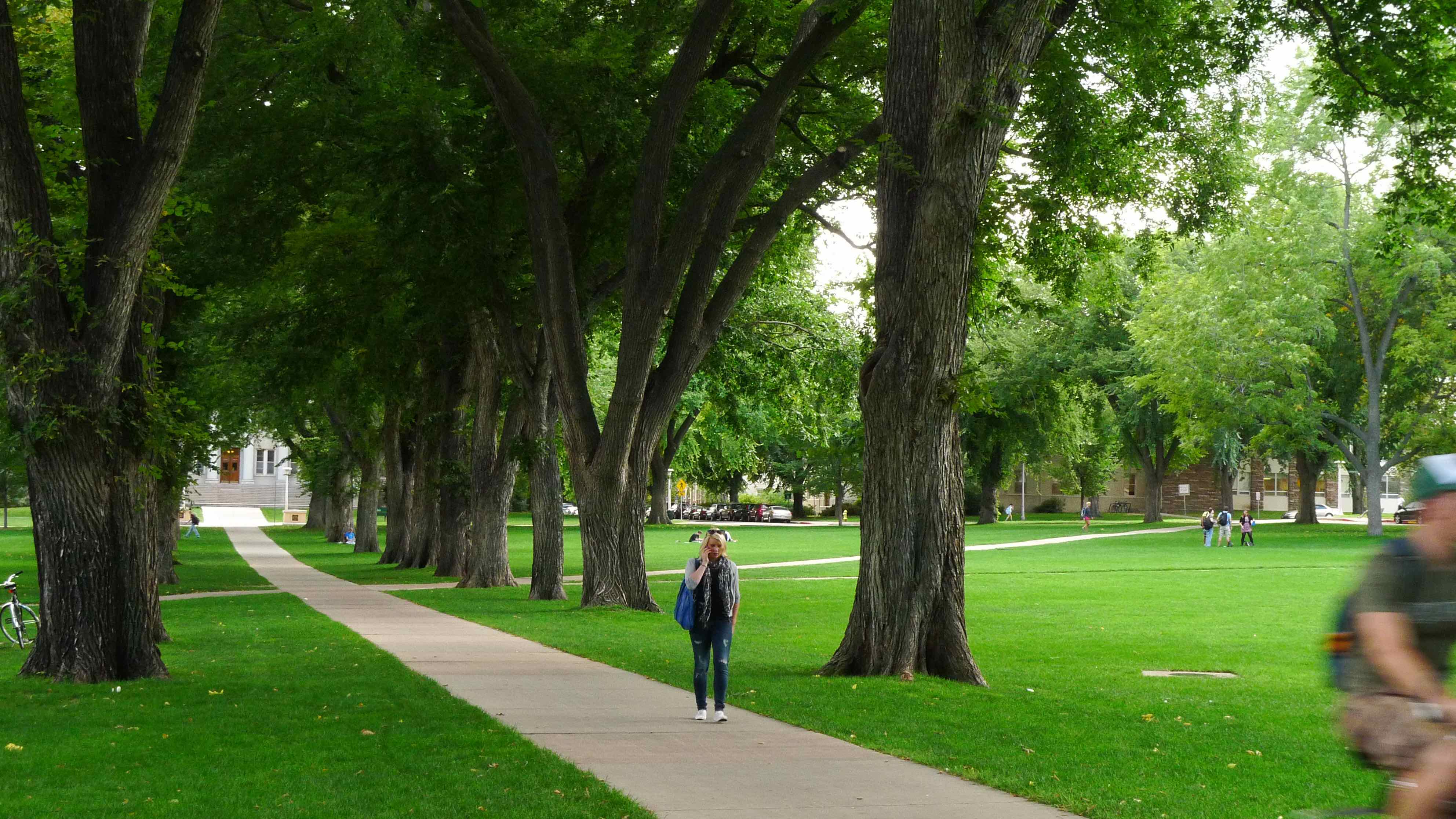 How the Greenest Colleges in America Highlight their Efforts with Interactive Maps